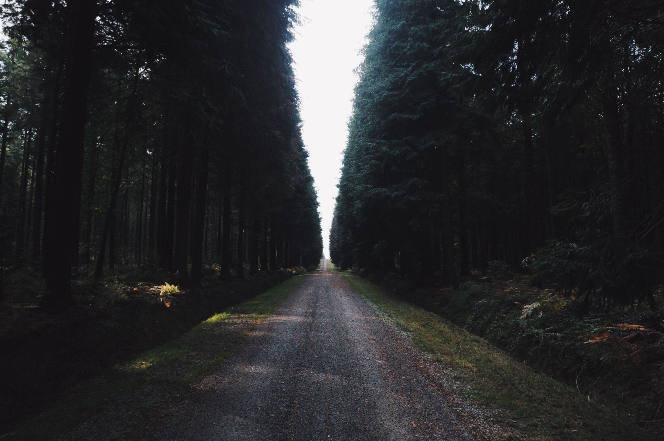 Excursion dans la forêt bretonne de Loudéac