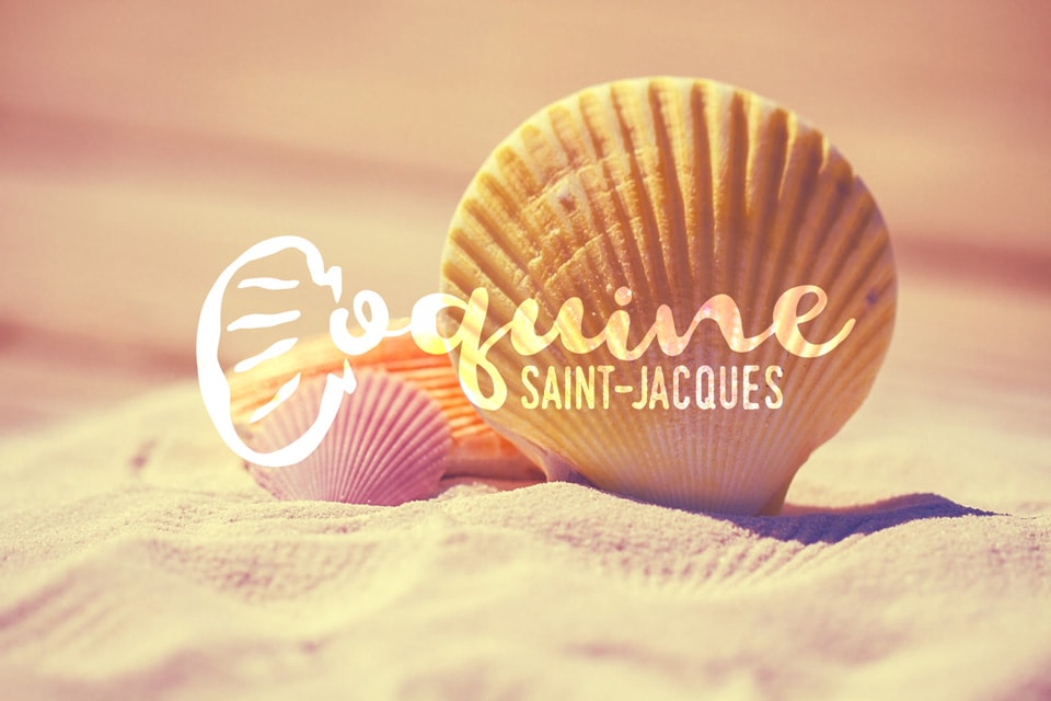 Coquine Saint-Jacques, ouverture aux plaisirs !