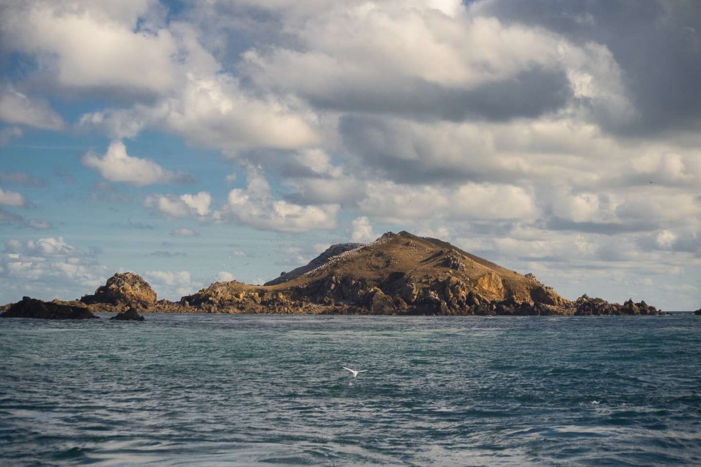 Les 7 îles Perros-Guirec, l’exploration des fous