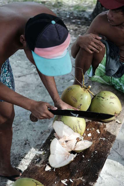 Une noix de coco fraîche et juteuse