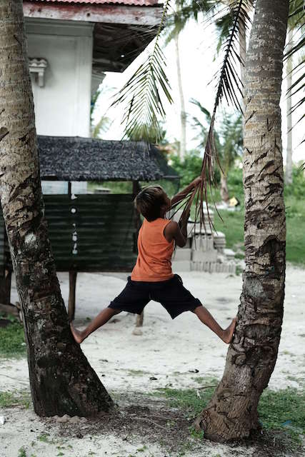 Un enfant grimpe sur un cocotier