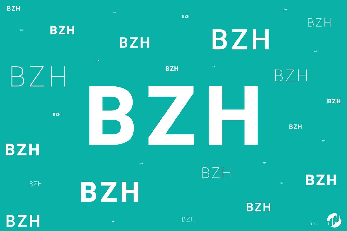 Quelle est l’histoire et la signification de l’abréviation BZH ?