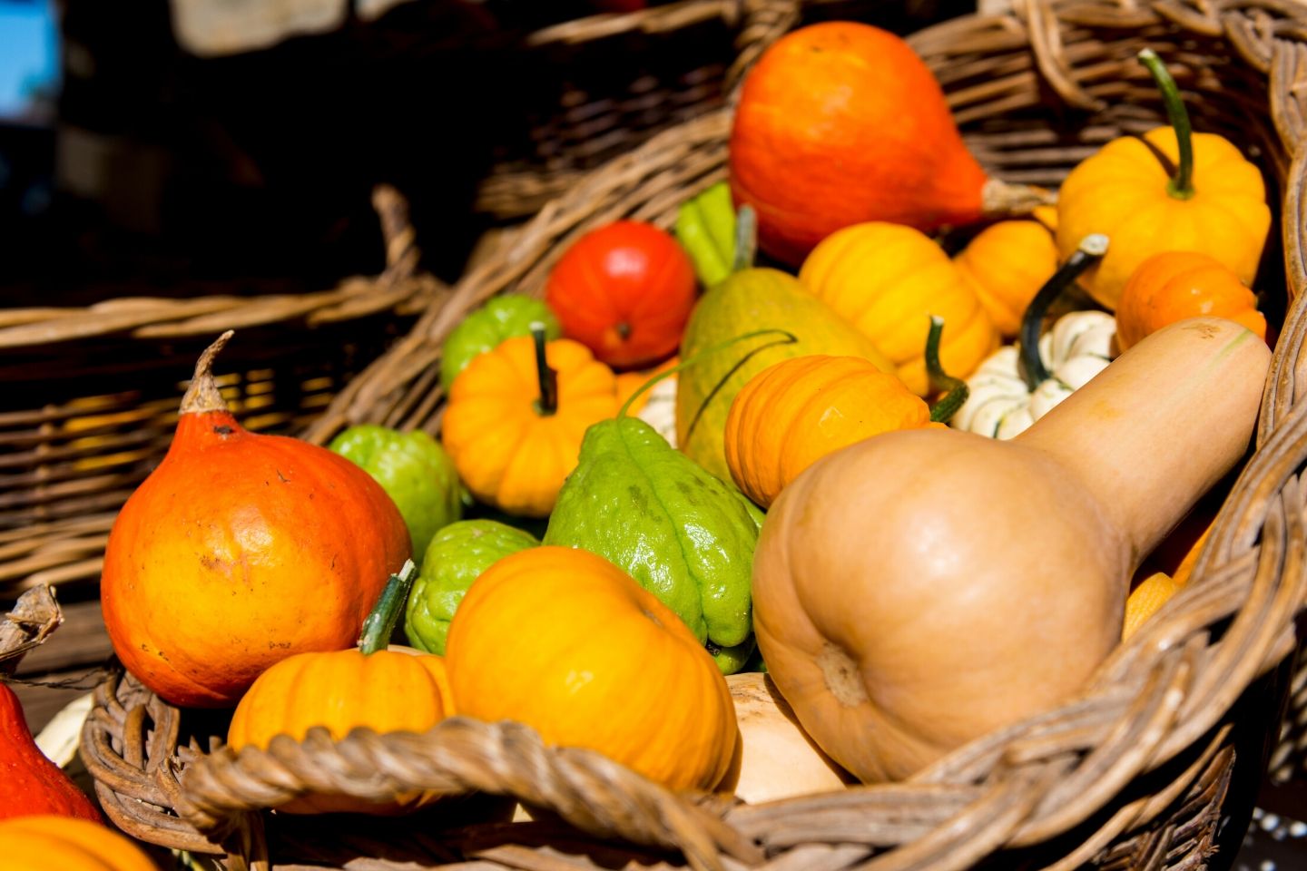 Guide complet et lexique des légumes en breton