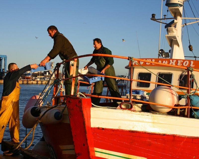 Bateau de pêche déchargeant sa cargaison