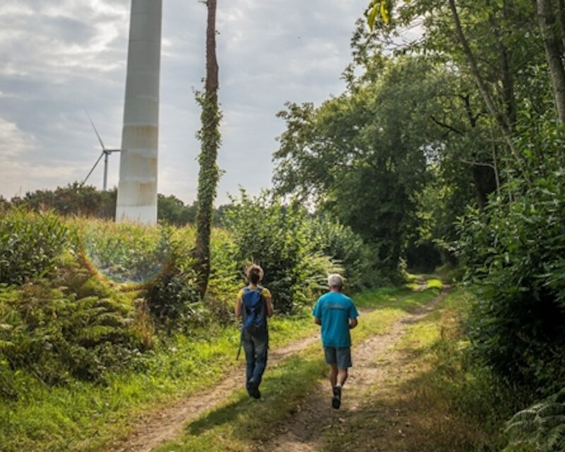 Personnes qui courent sur le circuit du parc éolien de Tréméheuc