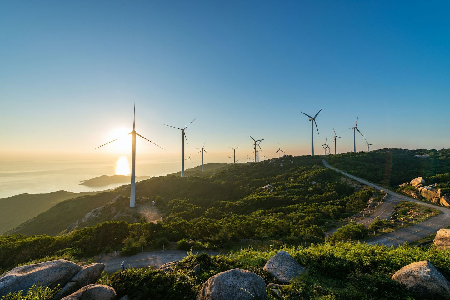 Un fournisseur d’énergie bretonne, verte et moins chère : découvrez Ohm Energie