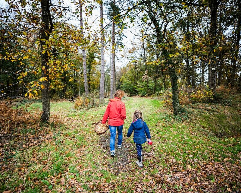 Mère et fille à la chasse aux champignons