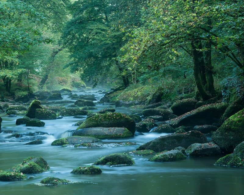 Rivière dans la forêt de Pontcallec