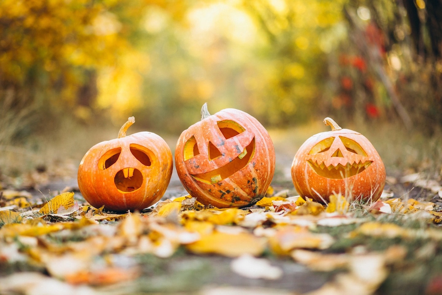 Comment fêter Halloween en Bretagne ?