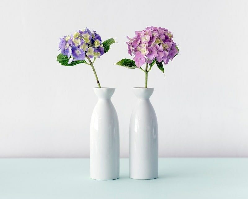 Deux vases en céramique