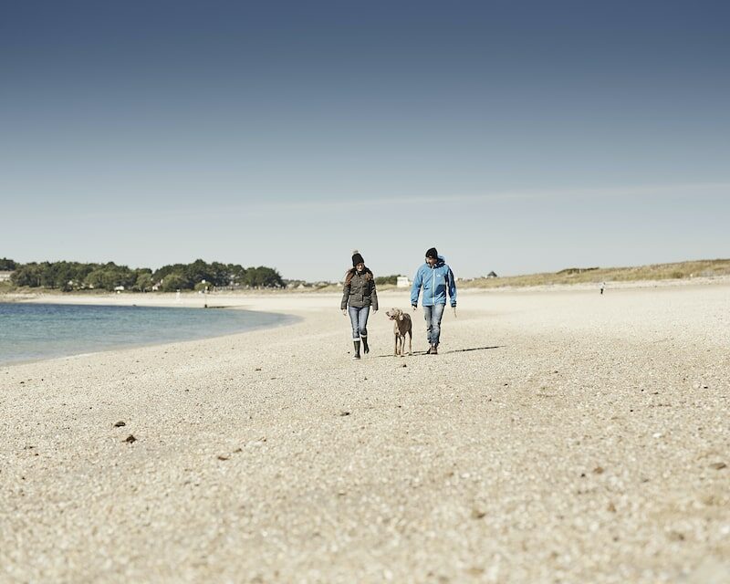 Un couple et leur chien sur la plage