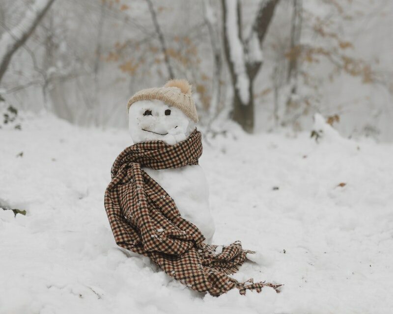 Un bonhomme de neige