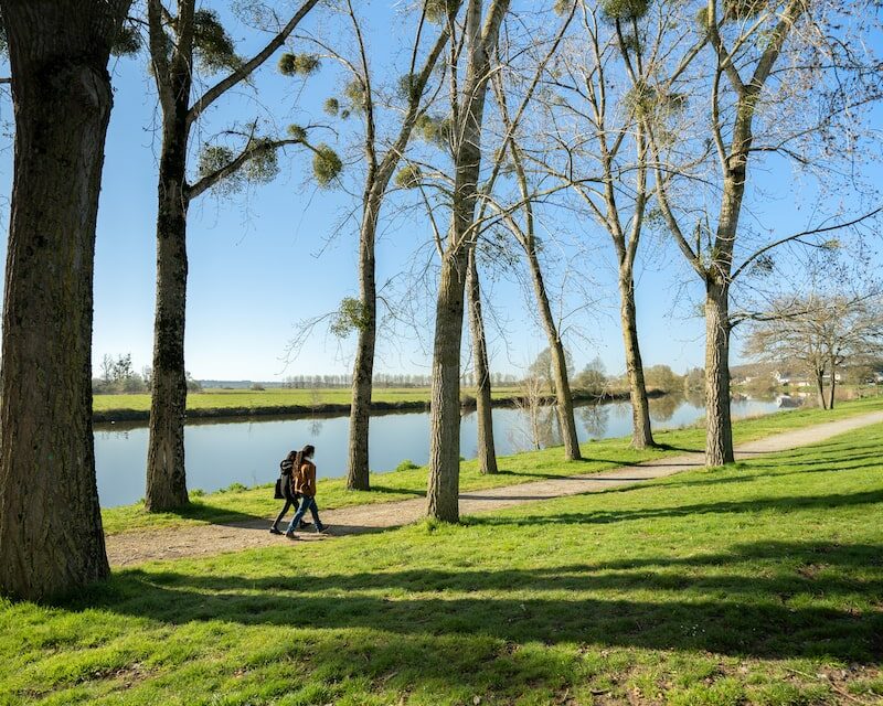 Les bords de la Vilaine en campagne