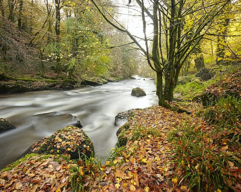 Gros plan sur le Scorff en automne