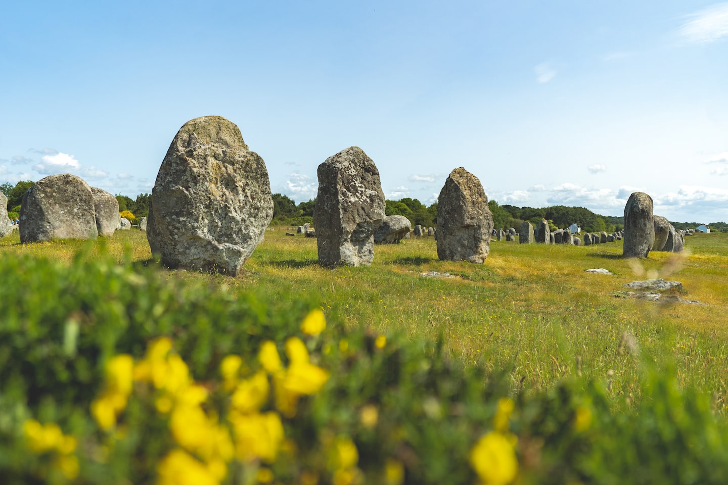 À la découverte des mystérieux Menhirs de Carnac