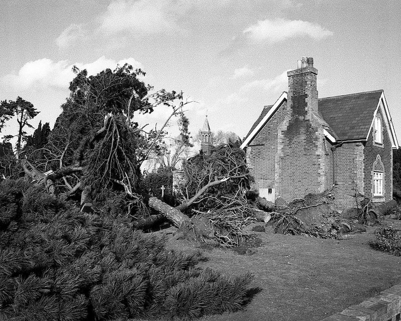 Arbres déracinée lors de la tempête de 1987
