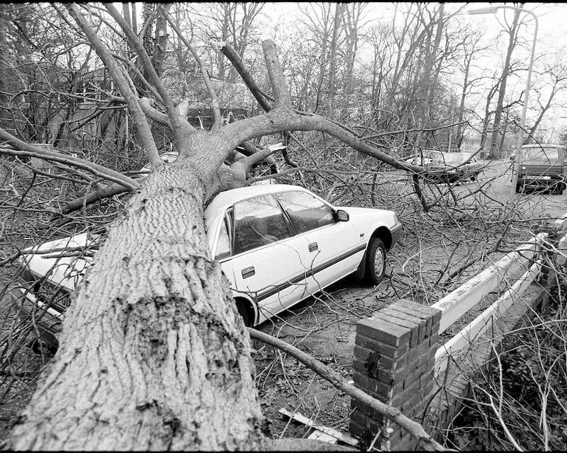 Arbre tombé sur une voiture lors de la tempête Daria