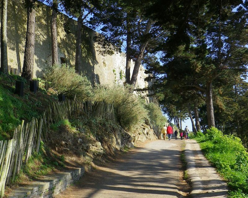 Presqu'île de la Cité d'Alet