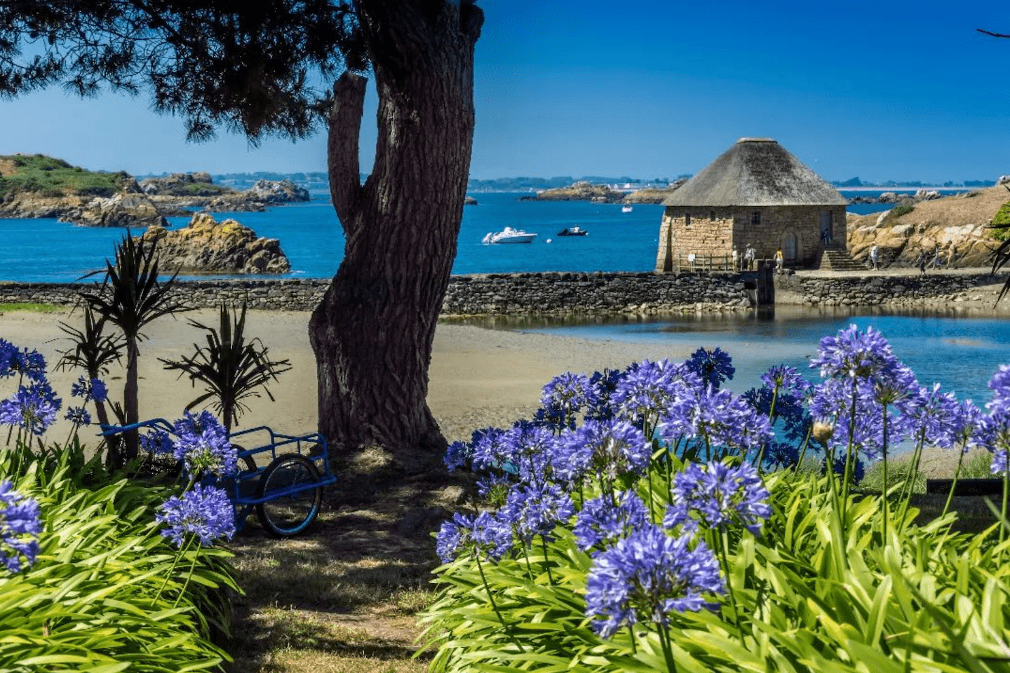 Partir en excursion sur l’Île de Bréhat : le charme de l’île aux fleurs