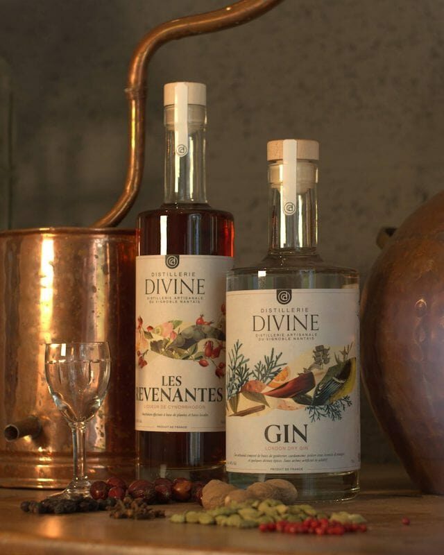 Bouteilles Distillerie Divine à Vallet