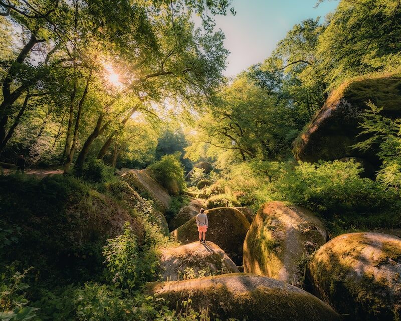 Un homme à l'ombre dela forêt