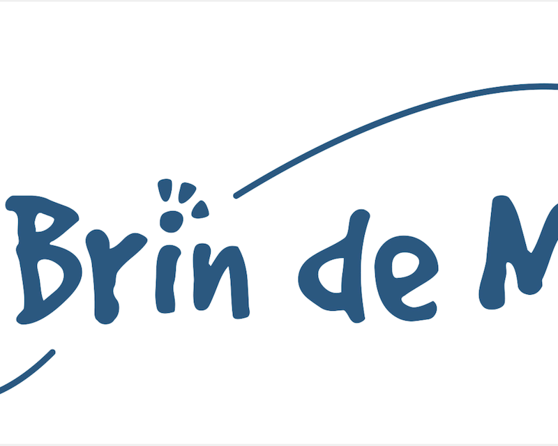 Logo Brin de Mer