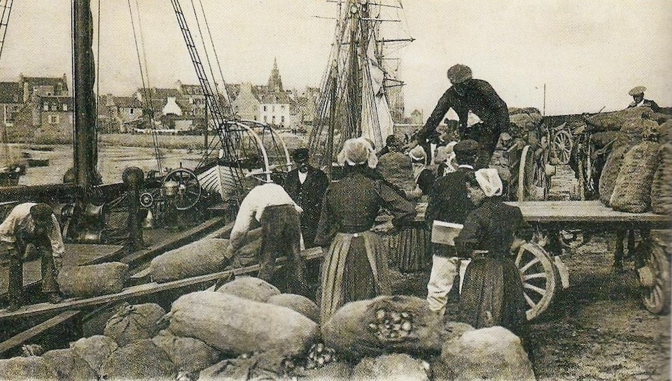 Les Johnnies à Roscoff vers 1920