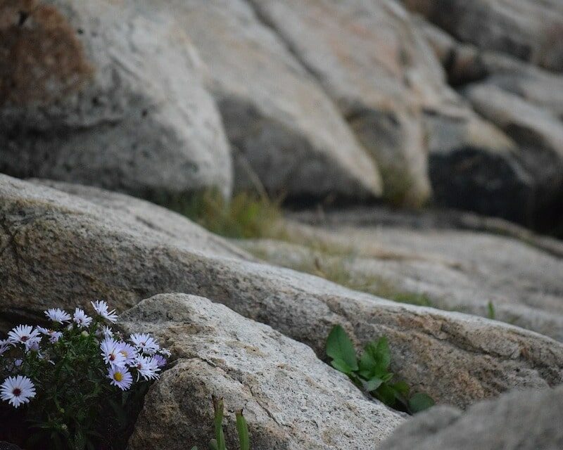 Roche de granite