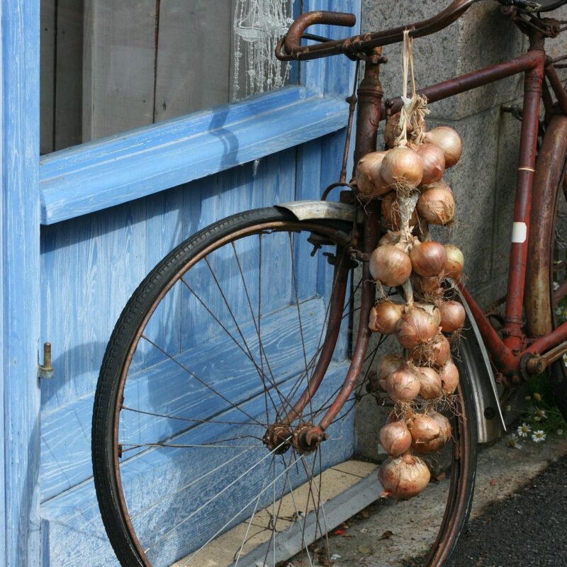 Tresse d'oignons de Roscoff sur un vélo