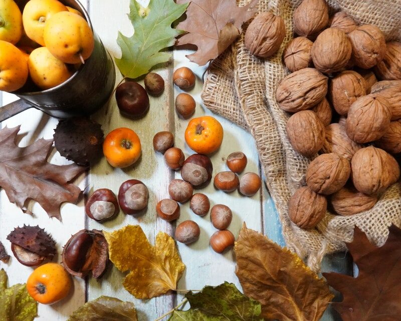 Des noix et des fruits d'automne
