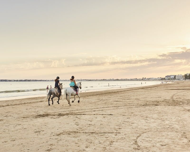 Chevaux qui galopent sur la plage