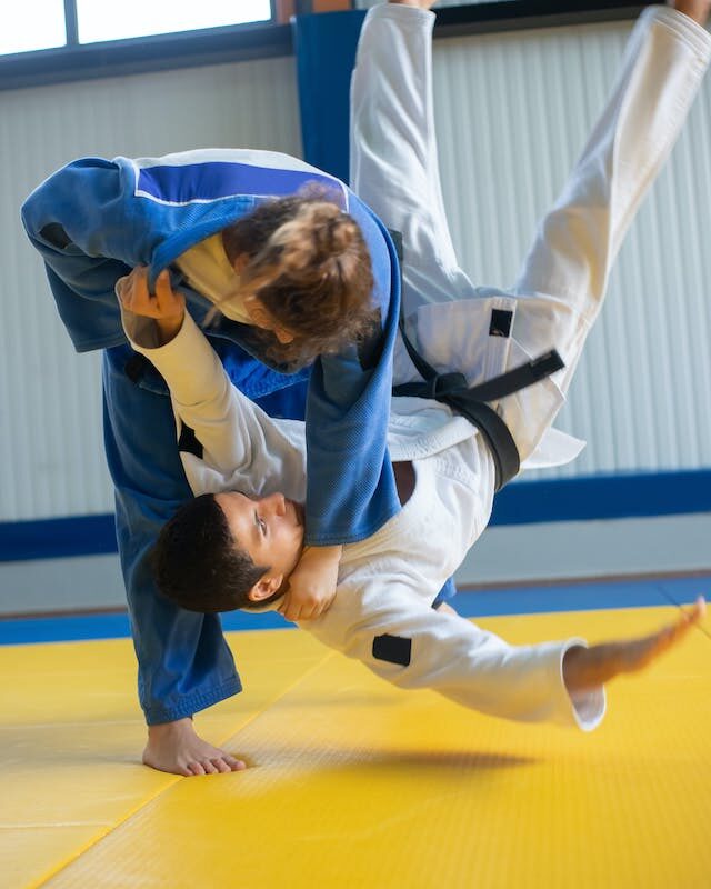 Prise de judo