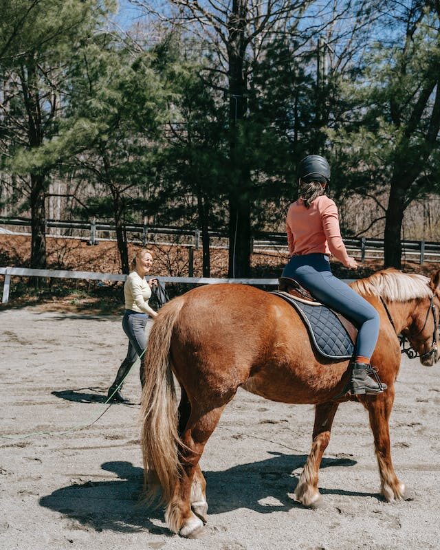 Cours d'équitation