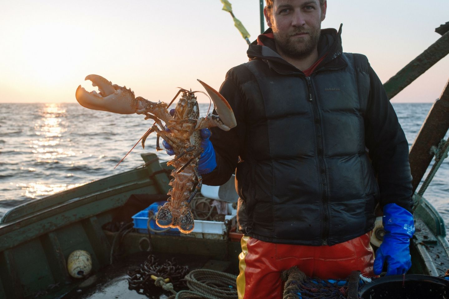 Le photographe Santadenn vous emmène avec lui pêcher le homard