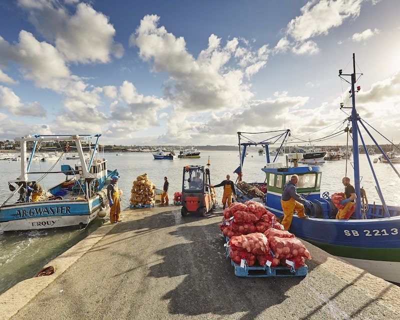 Déchargement de bateaux de pêche