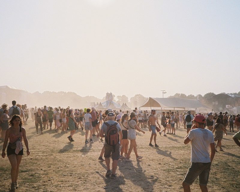 La foule des Vieilles Charrues